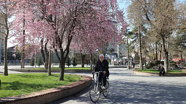 İki tekerlekli son türbedar