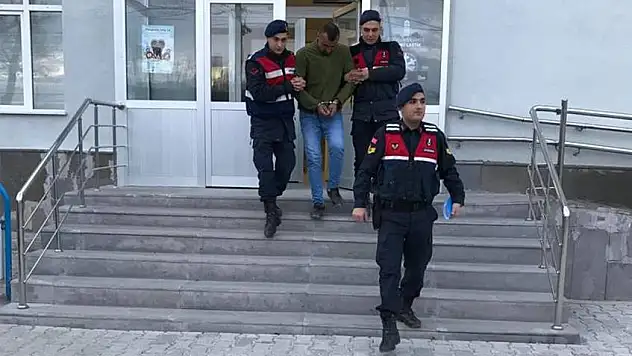 İl Jandarma Komutanlığı'ndan terör operasyonu: 1 gözaltı
