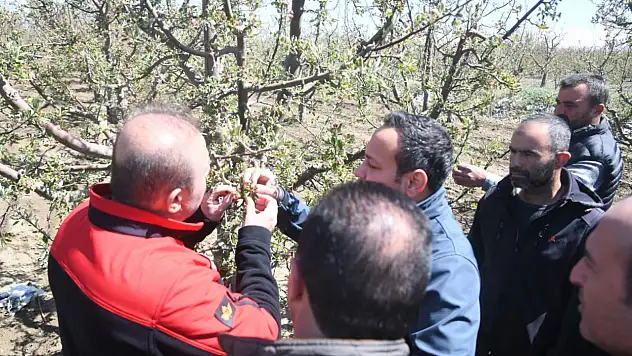 İl müdürü yerinde inceledi!