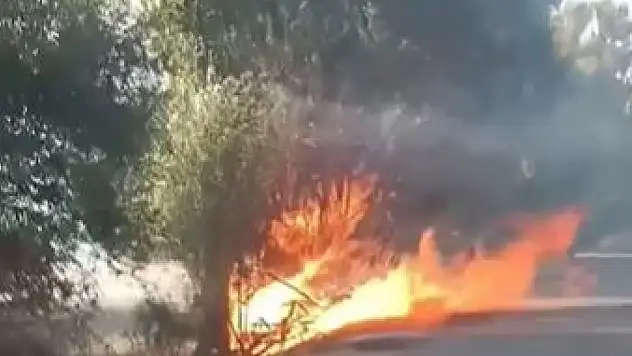 İlçede panik anları! Anız yangını ağaçlara sıçradı