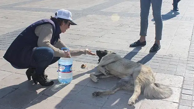 'İnsanlık ölmemiş' dedirten 3'lü