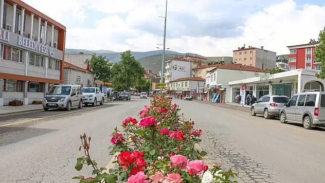 İş arayanlar! Kayseri'de Kaymakamlık 4 kişi alacak