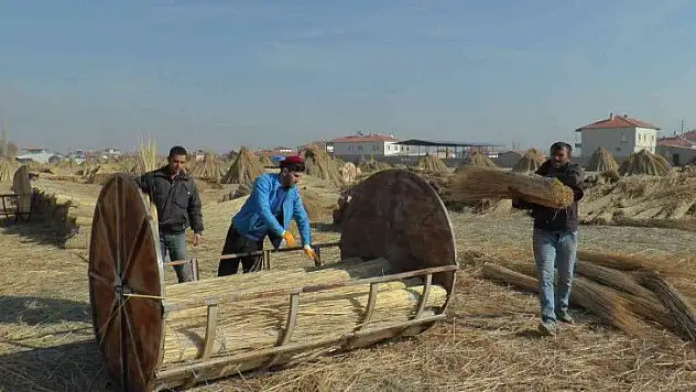 Zorlu 'kamış' mesaisi