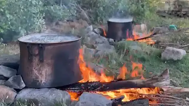 İstanbul'dan dahi talep var: Ağustos ve Eylül aylarında 4 ton kaynatıyor!