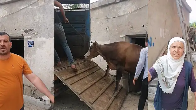 İşte çiftçinin hali! Traktör borcunu ödemek için ineklerini sattılar!