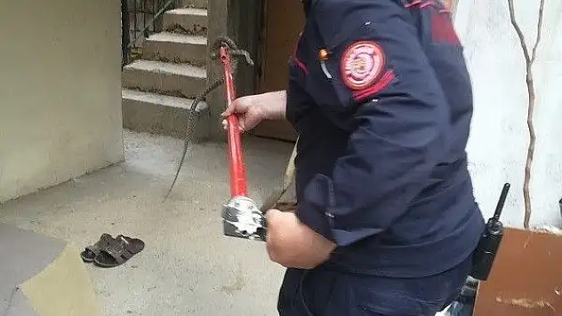 İtfaiyenin yılan yakalama timleri