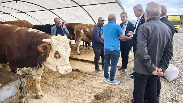 İYİ Partili Yücel hayvan pazarında konuştu: 'Esnafın derdi büyük'