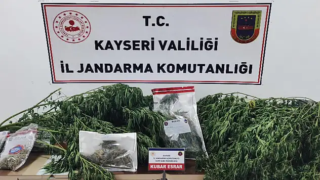 Jandarma 16.760 gram kubar esrar yakaladı