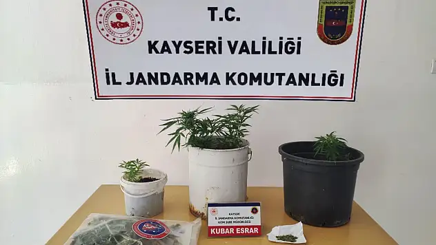 Jandarma'dan esrar operasyonu
