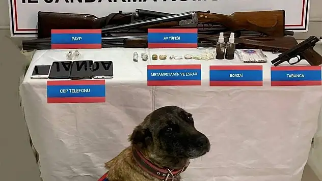 Jandarma ekiplerinden uyuşturucu baskını! 10 kişi yakalandı