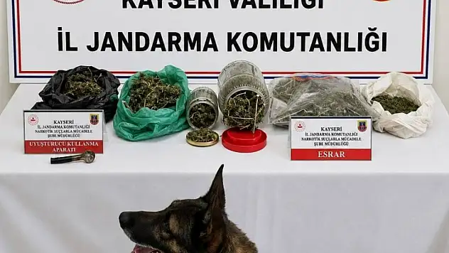 Jandarma ihbar üzerine harekete geçti: Ele geçirenler dikkat çekti