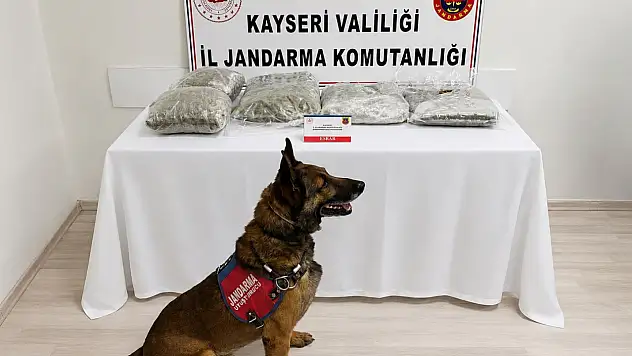 Kayseri'de gece saatlerinde hareketlilik! Şüpheli araçtan ne çıktı?