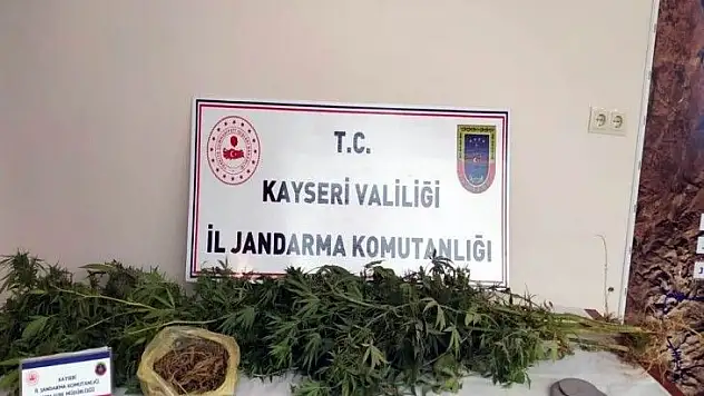 Jandarmadan uyuşturucu operasyonu