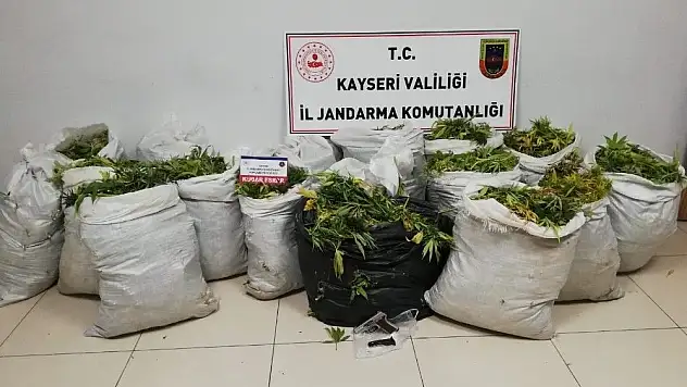 Jandarmadan uyuşturucu operasyonu: 160 kilo yaş kubar esrar ele geçirildi