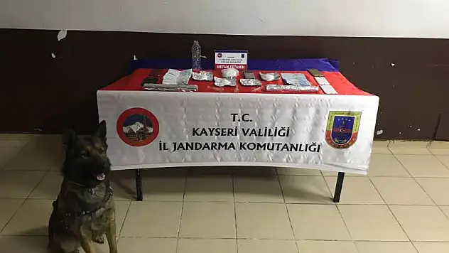 Jandarmadan uyuşturucu operasyonu 