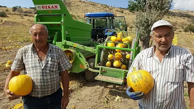 Kabak çekirdeği sektöründe Kayseri Şeker farkı üreticilerin yüzünü güldürdü