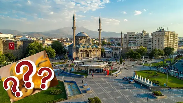 Kabuğu yok, 105 günde hasat ediliyor! Siyah altın Kayseri'de neden üretilmiyor?