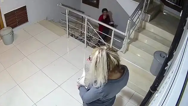 Sigara içerek girdiler, beğendikleri ayakkabıları çalıp gittiler
