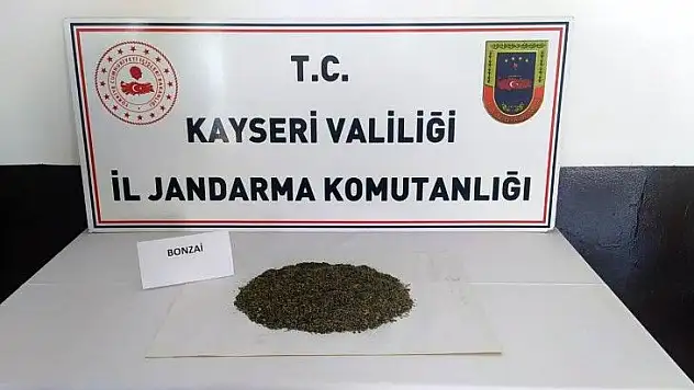 Çantadan yarım kilo bonzai çıktı