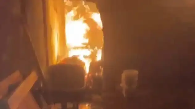 Ahır yandı hayvanlar telef oldu