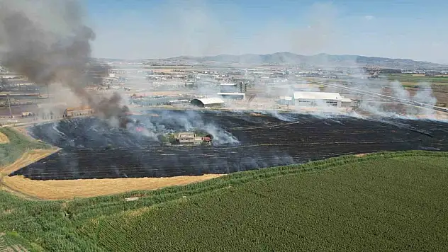 Kahramanmaraş'ta anız yangını korkuttu