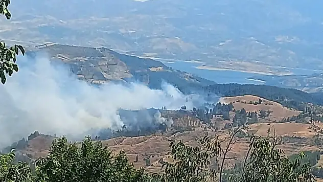 Kahramanmaraş'ta orman yangını