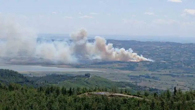Kahramanmaraş'ta orman yangını
