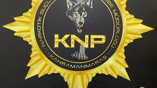 Son bir haftada 49 şüpheli tutuklandı