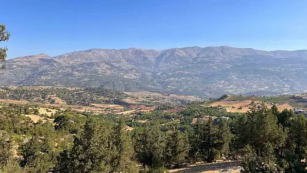 Kahramanmaraş'taki orman yangını söndürüldü