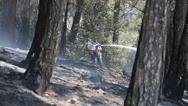 Kahramanmaraş'taki orman yangını kontrol altına alındı