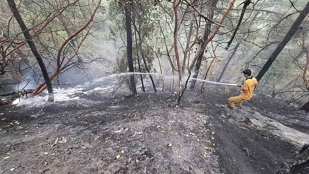 Kahramanmaraş'taki orman yangını kontrol altına alındı