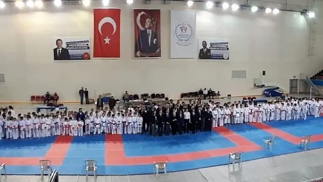 Karate İl Birinciliği sona erdi

