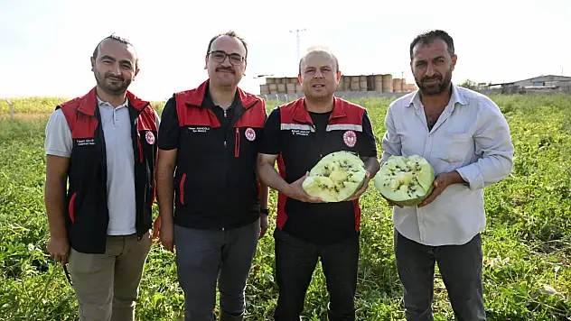 Karpuz deyip geçmeyin bakın kime ne için üretiliyormuş!