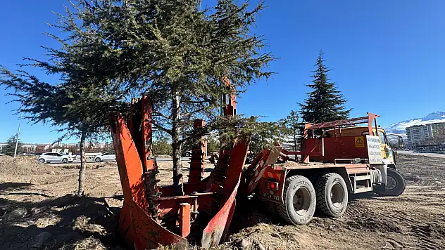 Kartal Kavşağı için ağaçlar taşındı!