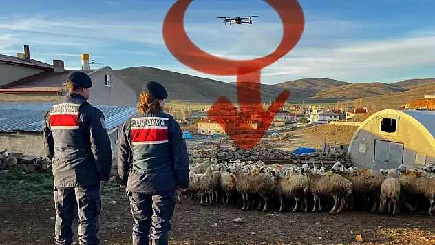 Kayıp sürüyü Drone buldu