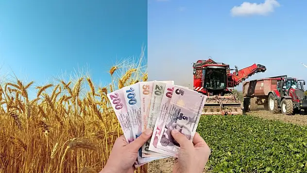 Kayseri çiftçisine dev müjde: 338 milyon TL hesaplarda