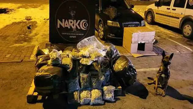 Kayseri'de 116,5 kilogram esrar ele geçirilmişti...