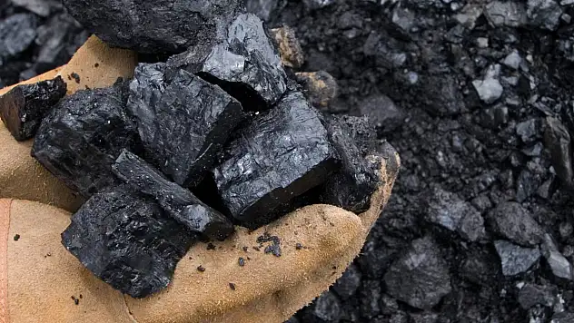 Kayseri'de 200 ton alınacak! Bakın nerede kullanılacak