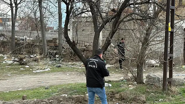 Kayseri'de 3 yaşındaki çocuğa başıboş köpek saldırdı!