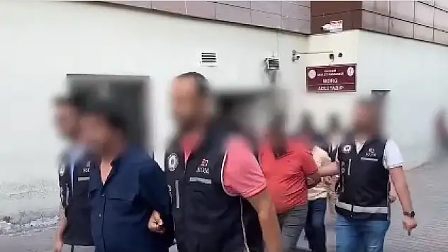 Kayseri'de 300 milyon yıllık fosil ele geçirildi!