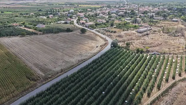 Kayseri'de 8 çeşidi üretiliyor! Hasadı başladı