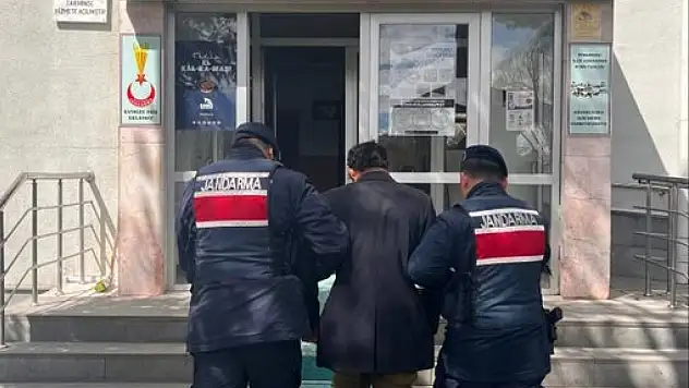 Kayseri'de ağaca asılarak öldürülen köpek olayında gelişme