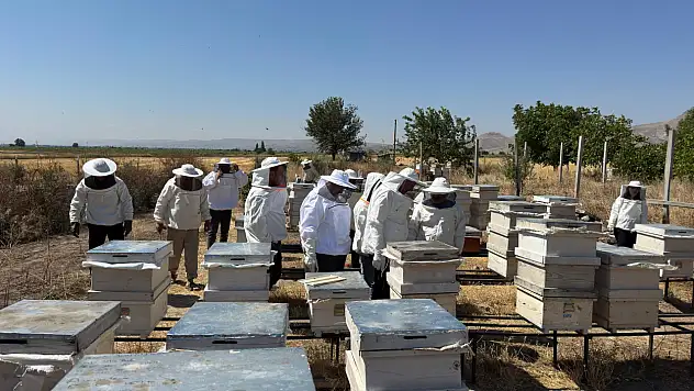 Kayseri'de altın hasadı başladı!