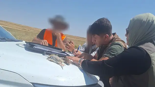 Kayseri'de avlaklar didik didik edildi! 12 avcı yakayı ele verdi