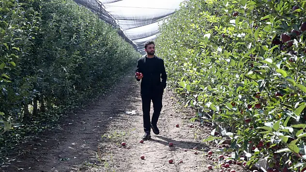 Kayseri'de babasının bahçesini büyüttü: Elmaları 18 ülkeye gönderiyor