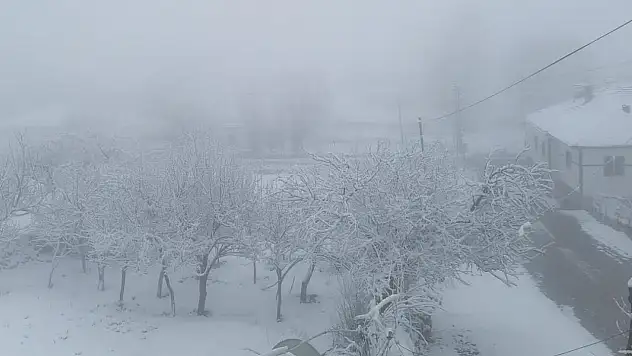 Kayseri'de bahar yerini kışa bıraktı