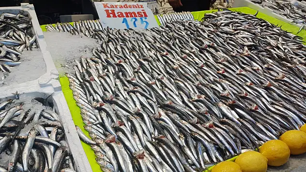 Kayseri'de balık tezgahlarında bolluk başladı!