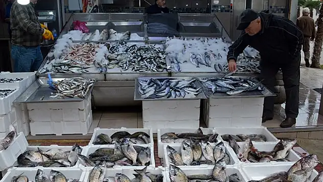 Kayseri'de balık tezgâhlarında son durum! 200 TL'den başlıyor