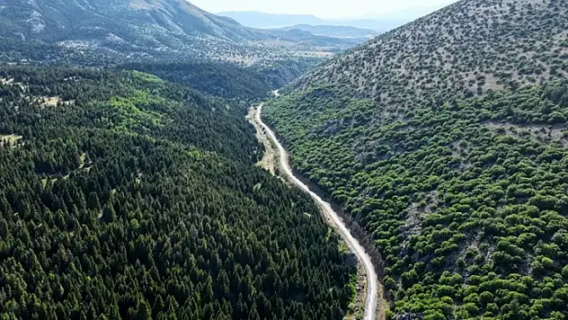 Kayseri'den Berçin Yaylası'na gidilecek