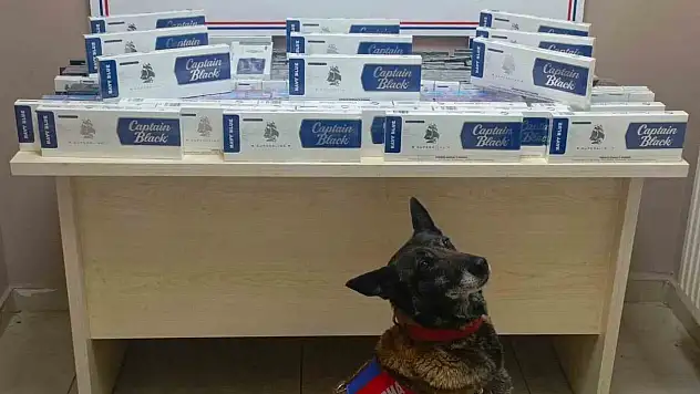 Jandarma'dan Kayseri-Malatya yolunun 22. kilometresinde operasyon